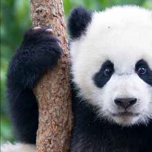 Meet your Posher, Karen